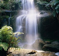 Mount Buangor State Park - Accommodation Asia