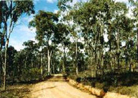 Daisy Hill VIC Accommodation Asia