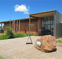Pilliga Forest - Accommodation China
