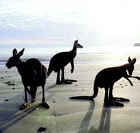 Hibiscus Coast - Accommodation Guide