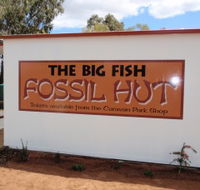 Big Fish Fossil Hut at Peak Hill - Accommodation Guide