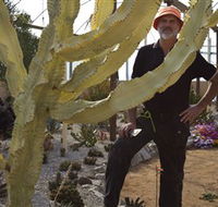 Cactus Country - Accommodation Asia