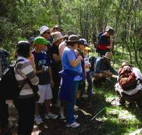 Warrumbungle National Park Discovery Program - Accommodation Asia