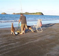Cape Hillsborough National Park - Accommodation Guide