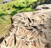 Terramungamine Rock Grooves - Accommodation China