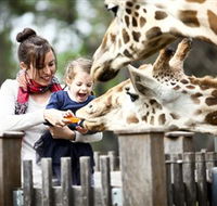 Taronga Western Plains Zoo Dubbo - Accommodation China