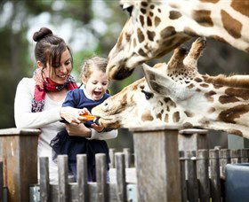 Taronga Western Plains Zoo, Dubbo - Accommodation China 0