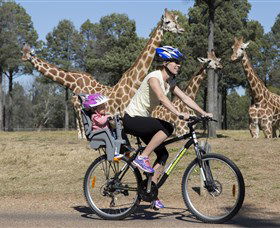 Taronga Western Plains Zoo, Dubbo - Accommodation China 2