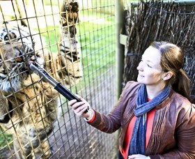 Taronga Western Plains Zoo, Dubbo - Accommodation China 3