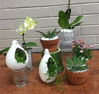 Cobram Florist - Accommodation Guide