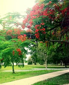 Gooseponds, North Mackay - Accommodation China 1