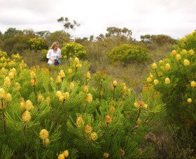 Fitzgerald Biosphere - Accommodation Asia 1
