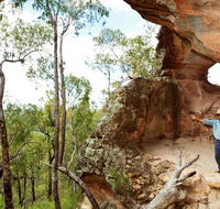 Pilliga National Park - Accommodation Asia