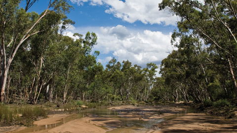 Pilliga National Park - Accommodation Asia 2
