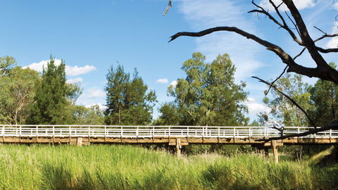 Pilliga National Park - Accommodation Asia 3