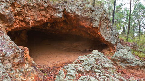 Pilliga National Park - Accommodation Asia 1