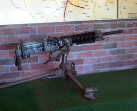 Woodpecker Gun - Accommodation Asia 0