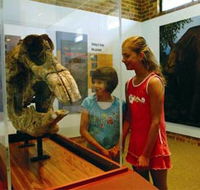 Australian Museum Diprotodon Exhibition - Accommodation Asia