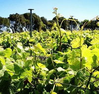 Basalt Wines - Accommodation Guide