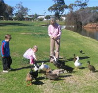 Roy Little Park Merredin - Accommodation Guide