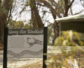 Coolamon NSW Accommodation Guide