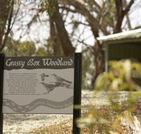 Kindra Forest - Accommodation Guide