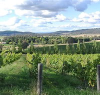 Sassy Wines - Accommodation Asia