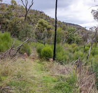 Lynchs loop trail - Accommodation Guide