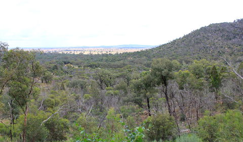 Ben Hall's Cave Walking Track - Accommodation Guide 0