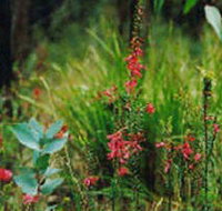 Enfield State Park - Accommodation Asia