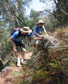 Wellington NSW Accommodation China