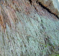 The Rock Nature Reserve - Kengal Aboriginal Place - Accommodation Asia