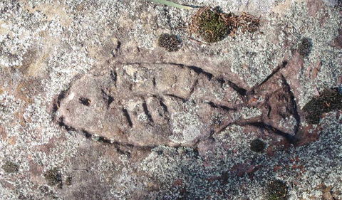 Terry Hie Hie Aboriginal Area - Accommodation Asia 3