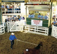 Gracemere Exhibition Complex - Accommodation Asia