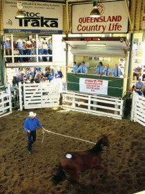 Gracemere Exhibition Complex - Accommodation Guide 0