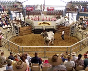 Gracemere Exhibition Complex - Accommodation Guide 1