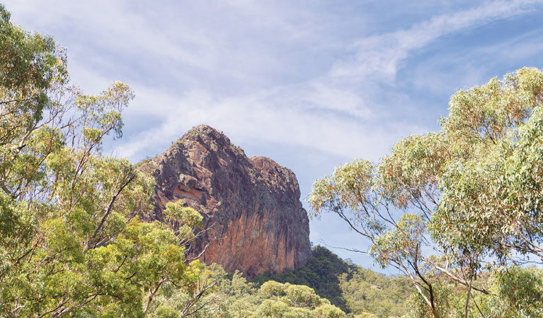 Bullawa Creek NSW Accommodation Asia