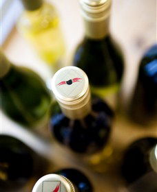 Charles Sturt University Winery Wagga Wagga - Accommodation Guide 2
