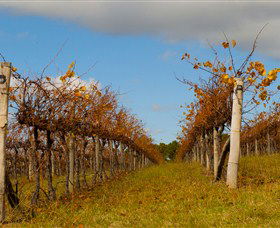 Charles Sturt University Winery Wagga Wagga - Accommodation Guide 3