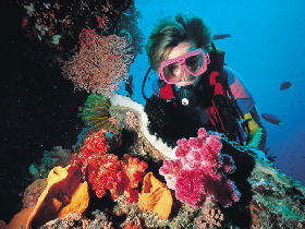 Great Barrier Reef - Whitsundays - Accommodation China 1