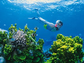 Great Barrier Reef - Whitsundays - Accommodation China 3