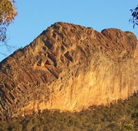 Kaputar scenic drive - Accommodation Asia