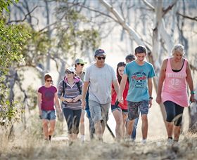 Winton Wetlands Reserve - Accommodation Guide 0