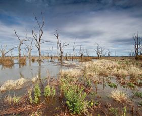 Winton Wetlands Reserve - Accommodation Guide 4