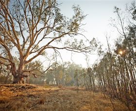Winton Wetlands Reserve - Accommodation Guide 2