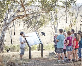 Winton Wetlands Reserve - Accommodation Guide 5
