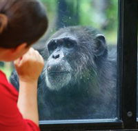The Rockhampton Zoo - Accommodation Asia