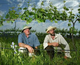Rosnay Organic Farm And Vineyard - Accommodation Guide 1