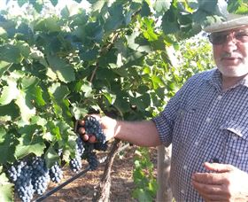 Rosnay Organic Farm And Vineyard - Accommodation Guide 6