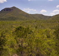 Kutini-Payamu Iron Range National Park CYPAL - Accommodation Asia